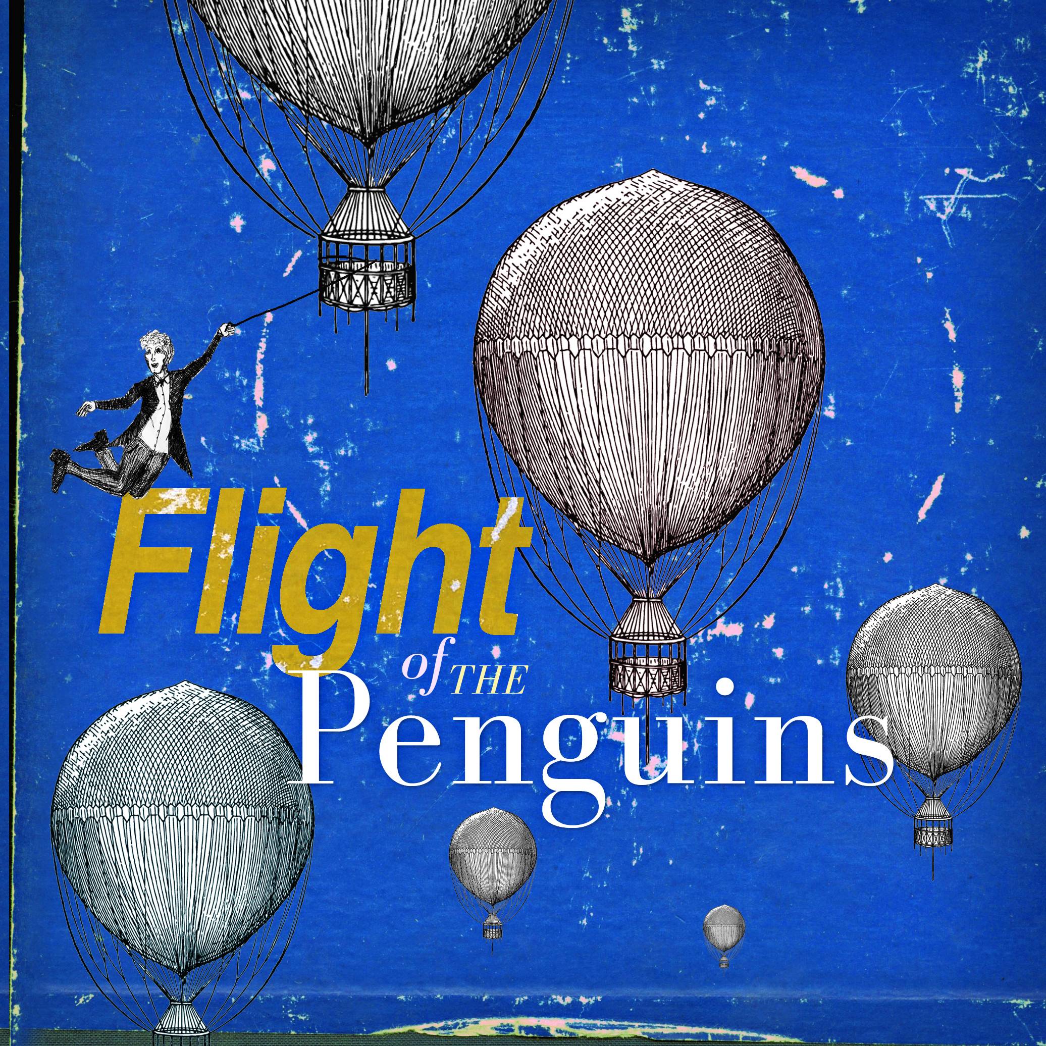 Flight of the Penguins, 2013